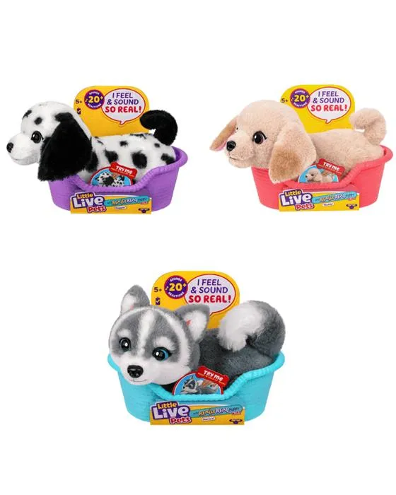 Petits animaux vivants Mon vrai jouet de chiot Mini - Assortiment