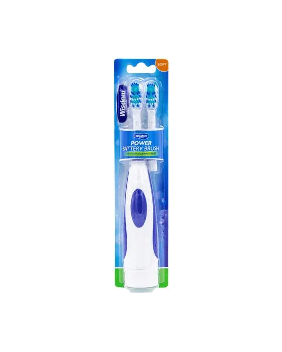 Brush de batterie de puissance de sagesse avec tête de remplacement