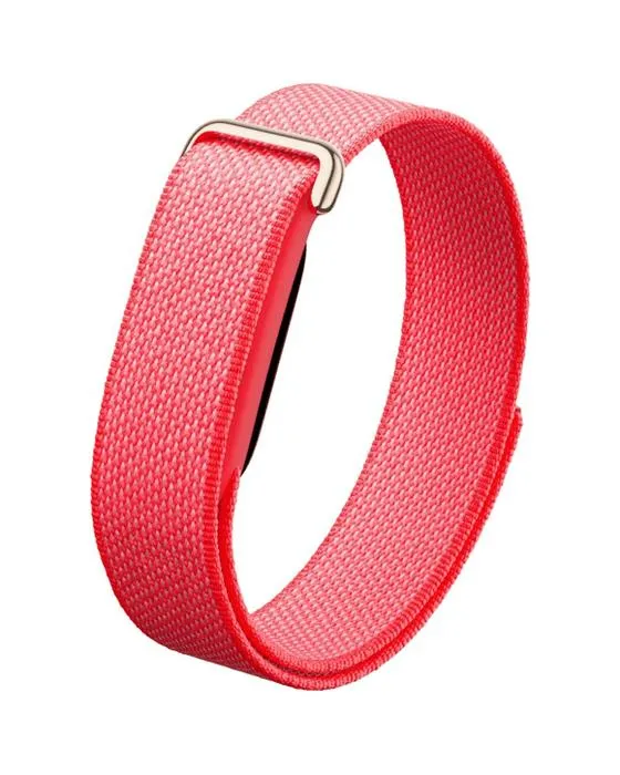 Google Fitbit Air Berry