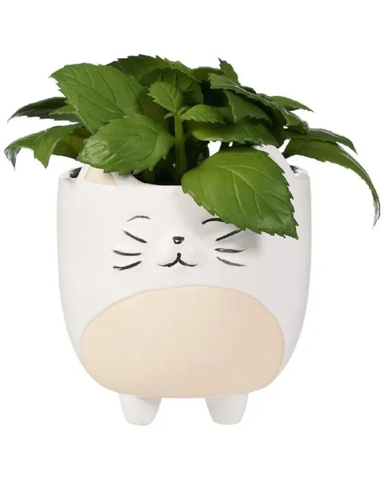 Otto Succulent Cat Planter