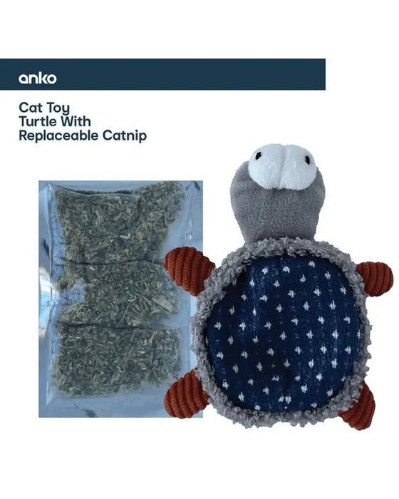 Tortue avec Catnip