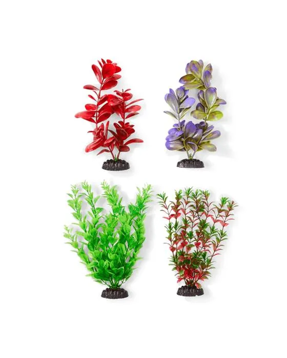 Aquarium plantes naturelles 4 Pack - Grand