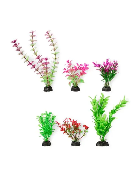 Aquarium plantes naturelles 6 Pack - Petit